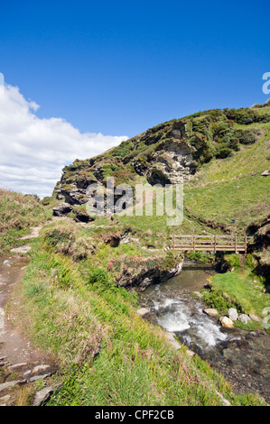 Felsental auf dem South West Coast Path zwischen Boscastle und Tintagel in Cornwall, England, Vereinigtes Königreich Stockfoto