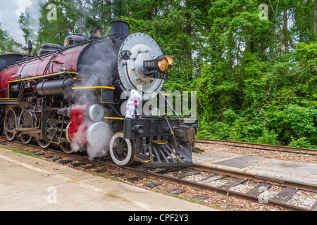 1917 Baldwin 'Pershing' 2-8-0 'Consolidation Class' Dampflokomotive 300 beim 'Texas State Railroad' Railfest im Rusk Depot, Rusk, Texas. Stockfoto