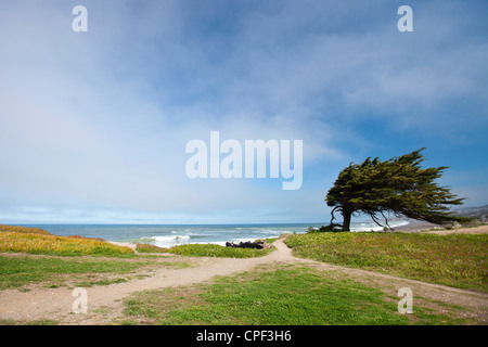 Ansicht von Sharp Park Beach Stockfoto