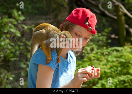 junges Mädchen mit gemeinsamen Totenkopfaffen (Saimiri Sciureus) auf dem Rücken im Serengeti-Park Hodenhagen, Niedersachsen, Deutschland Stockfoto