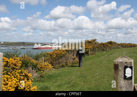 Wandern in Pembrokeshire auf dem Küstenpfad in der Nähe von Winkel Stockfoto