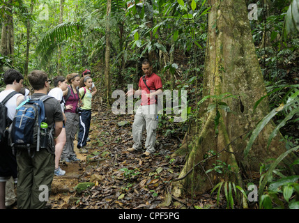 Gruppe von Jugendlichen Ökotouristen auf einem Regenwald Ökologie Spaziergang, Selva Verde, Costa Rica. Ihr Führer ist ein Costa-ricanischer Naturforscher Stockfoto