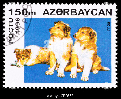 Briefmarke aus Aserbaidschan Darstellung Collie Welpen. Stockfoto