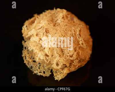 Ein gebratenes Taro Blätterteig Ball oder Wu Gok, eine gebratene Blätterteig-Kugel bestehend aus Taro, Schweinefleisch und verschiedenen Zutaten. 16. März 2011. Stockfoto