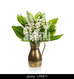 Alten Cooper Krug mit Lilly Blumen auf weißem Hintergrund Stockfoto