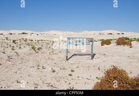 Weißen Sanddünen im Nambung Nationalpark in Western Australia Australien Stockfoto