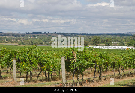 Sonnenuntergang bei großen St Huberts Weingut in der Nähe von Healesville im Weingebiet von Victoria in Australien Stockfoto