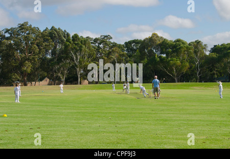 Jungen im Alter von 8 bis 10 in Melbourne in Australien Victoria Cricket spielen Stockfoto