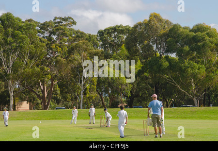 Jungen im Alter von 8 bis 10 in Melbourne in Australien Victoria Cricket spielen Stockfoto