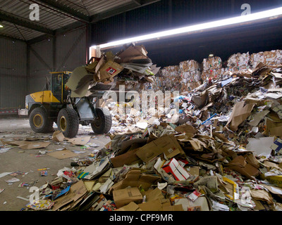 Altes Papier Schaufeln, die in neue Papier bei einer Kartonfabrik in Groningen in den Niederlanden zurückgeführt werden Stockfoto