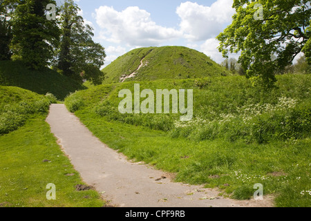 Thetford-Hügel, mittelalterliche Motte und Bailey Schloß, Thetford, Norfolk, England Stockfoto