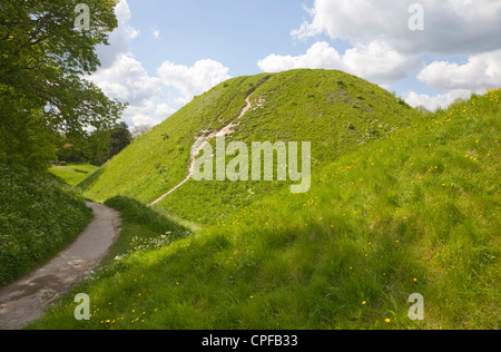 Thetford-Hügel, mittelalterliche Motte und Bailey Schloß, Thetford, Norfolk, England Stockfoto