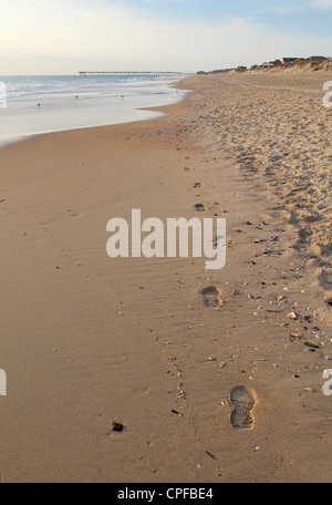 Spuren an einem Strand in North Carolina vertikale Stockfoto