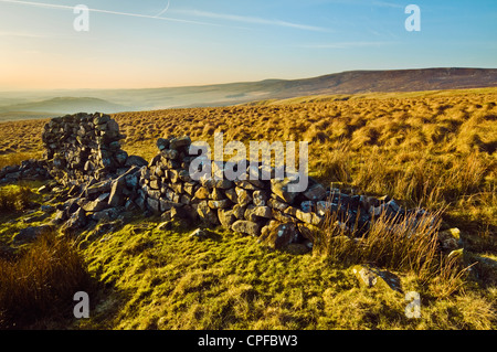 Abend auf Brennand Great Hill in den Wald von Bowland, Lancashire, England, auf der Suche nach Wards Stein und dem Tal der Wyre Stockfoto