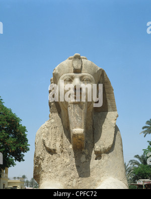 Ägypten. Memphis. Sphinx. Stockfoto