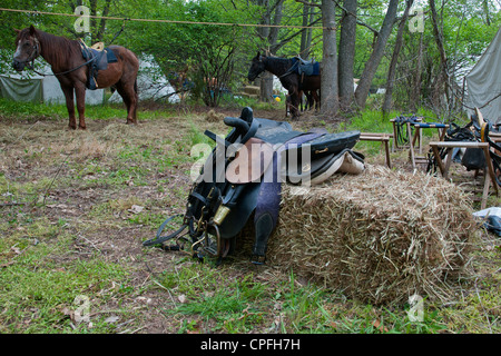 Kavallerie Escadron Disposition, Civil War Reenactment, Bensalem, Pennsylvania, USA Stockfoto