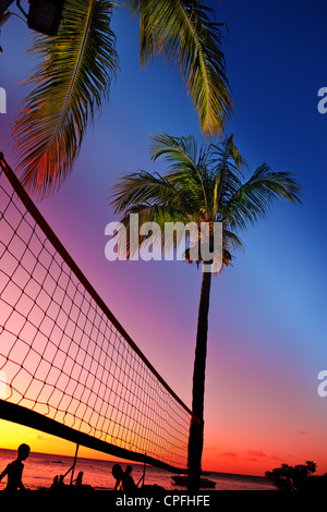 Raster für Beach-Volleyball zwischen Palmen am Meer und Sonnenuntergang Hintergrund Stockfoto