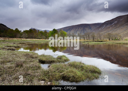 Blick auf Loch Etive, Blick nach Osten, bis der Glen. Stockfoto