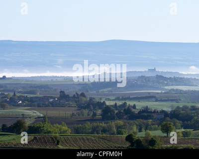 Montreal, Aude, Languedoc, Frankreich gesehen über die Filds und die Weinberge im frühen Morgennebel Stockfoto