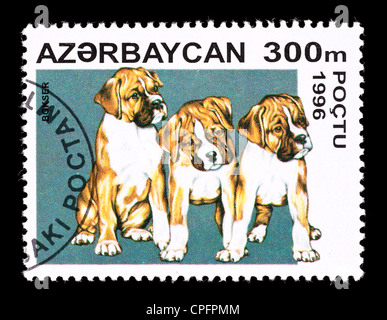 Briefmarke aus Aserbaidschan Darstellung Boxer Welpen Stockfoto