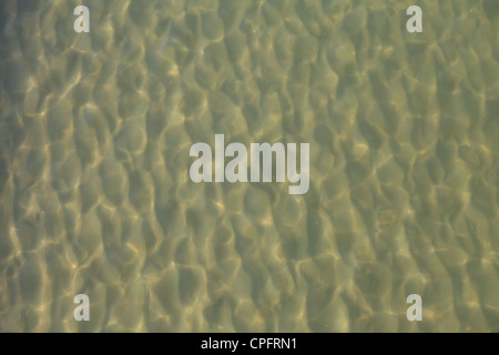 schöne klare Poolwasser reflektiert in der Sonne Stockfoto