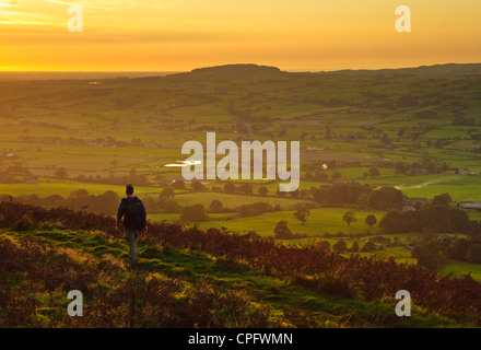 Mann zu Fuß auf Jeffrey Hill auf Longridge fiel Lancashire England mit der laute Tal und Beacon zurückgefallen Stockfoto