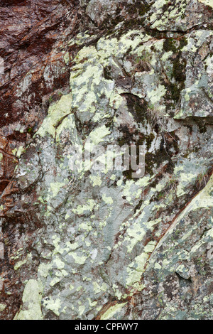 Moosige Wand Barrage du Gouffre d ' Enfer bei Rochetaillee in der Nähe von Saint-Etienne, Loire, Stockfoto