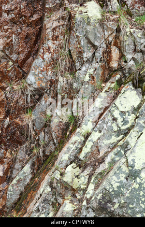 Moosige Wand Barrage du Gouffre d ' Enfer bei Rochetaillee in der Nähe von Saint-Etienne, Loire, Stockfoto