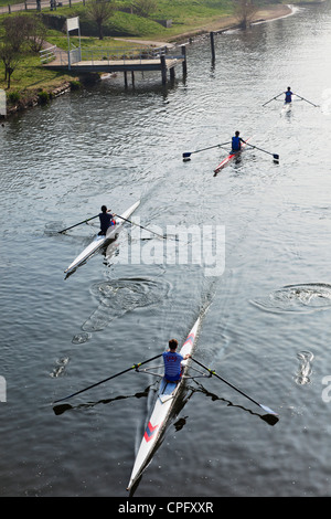 Ruderer auf Themse, Surrey, England, London in der Nähe von Kingston Upon Thames Stockfoto