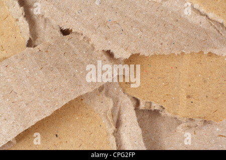 Makroaufnahme aus Pappe Stockfoto