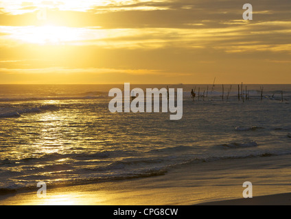 Stelzenfischer in Weligama, South Coast, Sri Lanka, Asien Stockfoto