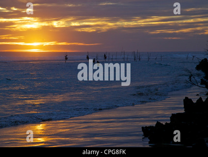 Stelzenfischer in Weligama, South Coast, Sri Lanka, Asien Stockfoto