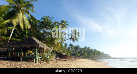 Blick auf den unberührten Strand von Palm Paradise Cabanas, Tangalle, Küste, Sri Lanka, Südasien Stockfoto