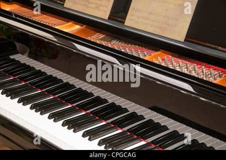 Nahaufnahme einer Grand Piano-Tastatur zeigt einige Tasten und einige tuning Heringe. Stockfoto