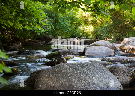 Exmoor Nationalpark Exmoor Wildpferde Weiden auf der wilden und windig Mohr sieht so schön und friedlich an einem schönen Sommertag. Stockfoto