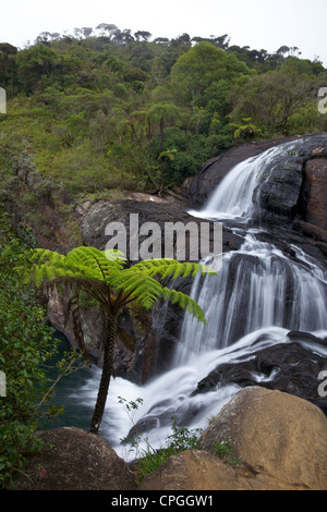 Bakers fällt, Horton Plains Nationalpark, Sri Lanka, Asien Stockfoto