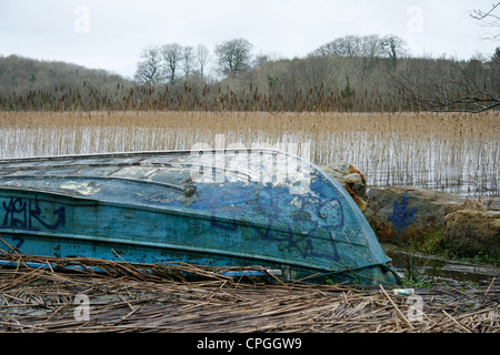 Kleine blaue flach-Boden Aluminium Boot liegend kopfüber vom Seeufer. Stockfoto