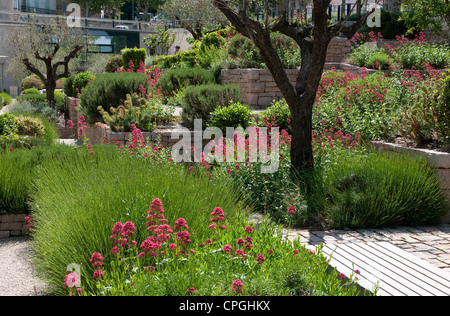 öffentlichen Garten, Montelimar, Frankreich Stockfoto