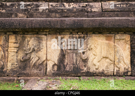 Elefanten in Flachrelief, Council Chamber des Königs Nissankamalla, UNESCO-Weltkulturerbe, Polonnaruwa, Sri Lanka, Asien Stockfoto