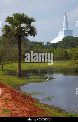 Ruwanweliseya, Maha Thupa oder große Stupa, UNESCO World Heritage Site, Anuradhapura, Sri Lanka, Asien Stockfoto