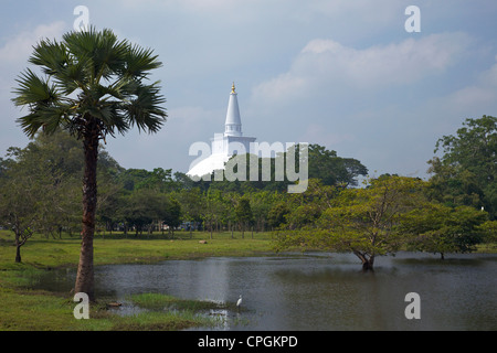 Ruwanweliseya, Maha Thupa oder große Stupa, UNESCO World Heritage Site, Anuradhapura, Sri Lanka, Asien Stockfoto