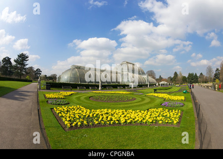Parterres im Frühling draußen Palmenhaus, Kew Royal Botanic Gardens, London, England, Großbritannien, Deutschland, GB, Großbritannien Stockfoto