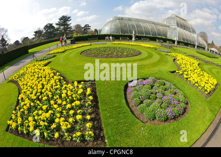 Parterres im Frühling draußen Palmenhaus, Kew Royal Botanic Gardens, London, England, Großbritannien, Deutschland, GB, Großbritannien Stockfoto