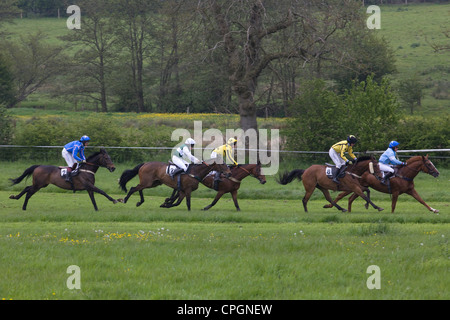 Rennen Pferde Equus Ferus Caballus an einem Hindernislauf Horse-event Stockfoto