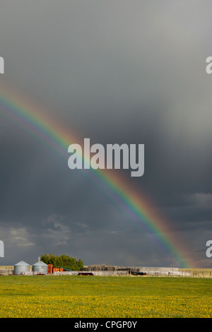 Regenbogen über kanadische Prärie Bauernhof Stockfoto