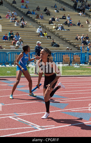 Die amerikanischen Sprinter Allyson Felix mit dem Taktstock in der Hand, die in einem Staffellauf an einem Leichtathletik Meeting in Drake Stadium UCLA Stockfoto