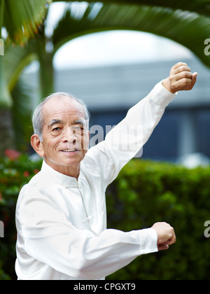 William Ng, ein Tai Chi Meister praktizieren Tai Chi Stockfoto