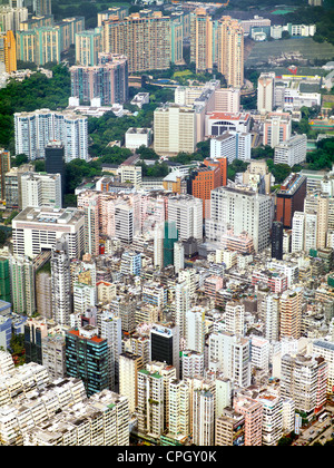 Die Luftaufnahme zeigt die Dichte von Wohngebäuden in Kowloon, Hong Hong. September 2011. Stockfoto