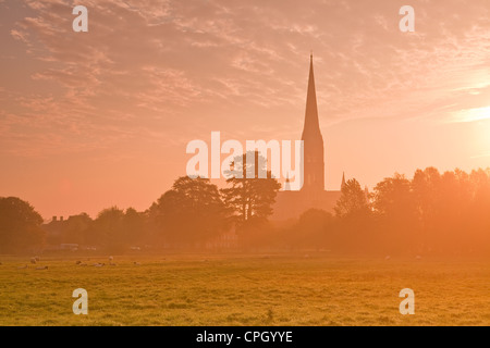 Einen schönen Sonnenaufgang auf dem Wasser Wiesen mit Salisbury Kathedrale hinter sich. Stockfoto