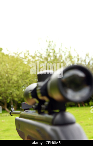 auf der Suche entlang einem Zielfernrohr und den Lauf ein Luftgewehr mit Bäumen und Rasen im Hintergrund Stockfoto